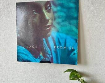 Record Display Shelf - Vinyl Record Shelf - Vinyl Record Stand - Vinyl Organizer - Record Collection Shelf - Vinyl Holder