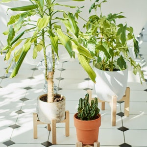 LOT de 3 supports pour plantes d'intérieur en contreplaqué de bouleau recyclé Supports pour pots de fleurs Supports pour plantes à plusieurs niveaux et décoration d'intérieur Cadeau parfait pour les amateurs de plantes image 5