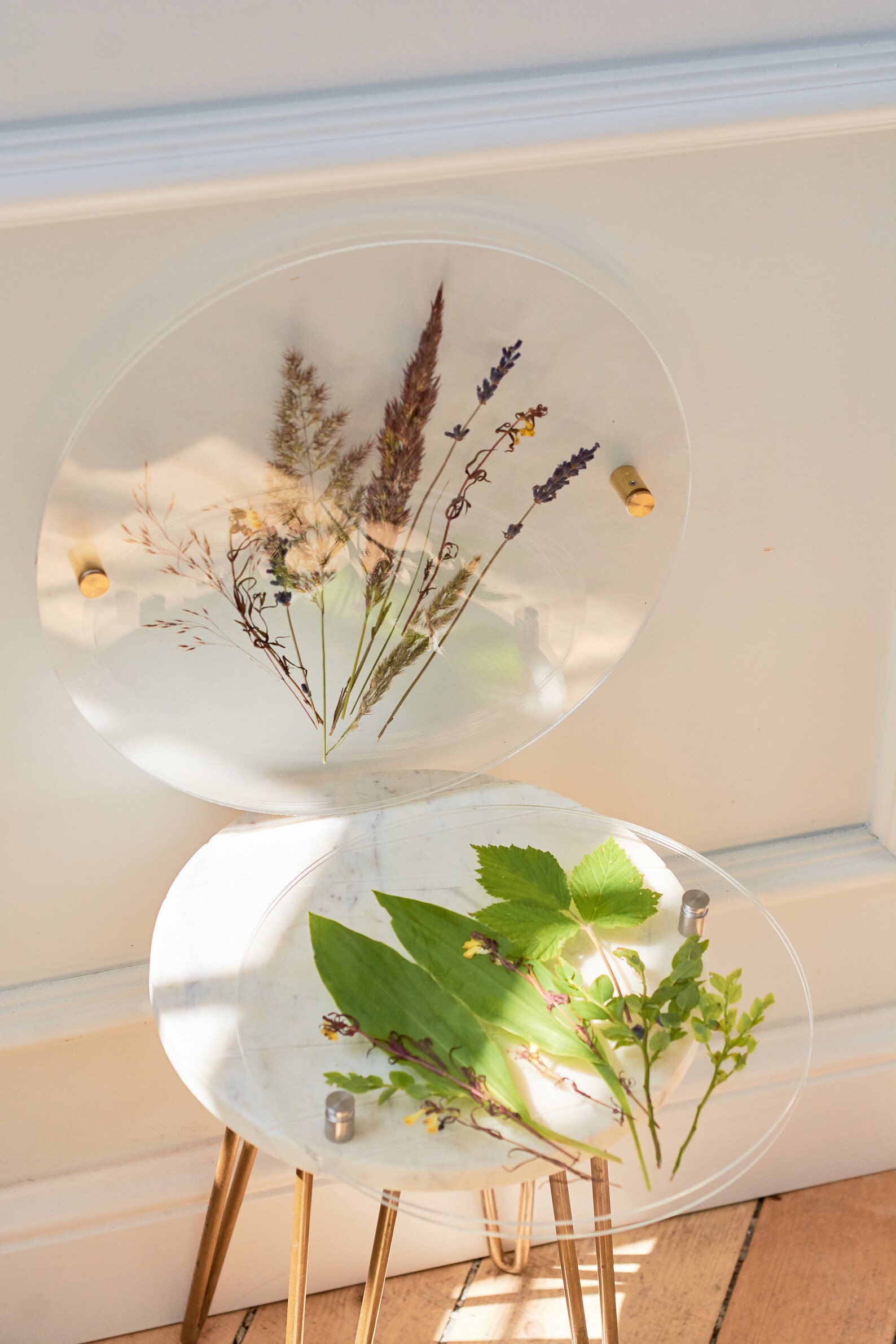 Acrylic Frame With Standoff Barrels - Dried Flower Frame for DIY ...