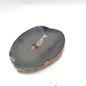May include: A gray agate slice with brown edges. The agate has a white band in the center.