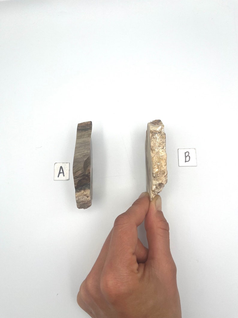 Petrified Wood Slabs, PETRIFIED WOOD Slices, crystal slab, Two Petrified Wood Slabs or Slices, Spiritual, Metaphysical, Crystal image 3