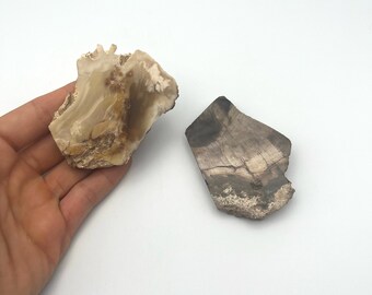 Petrified Wood Slabs, PETRIFIED WOOD Slices, crystal slab, Two Petrified Wood Slabs or Slices, Spiritual, Metaphysical, Crystal