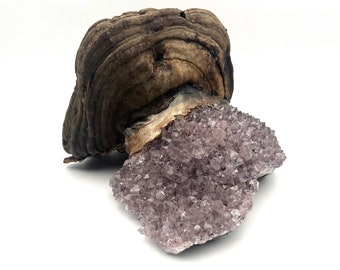 Real Amethyst Mushroom Crystal REAL MUSHROOM CRYSTAL spiritual decor