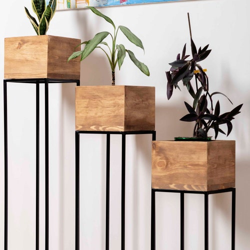 suprug posuditi bijeg iz zatvora 1x Design Plant Stand X-FORM Metal Size-adjustable Flower - Etsy Denmark suprug posuditi bijeg iz zatvora 1x Design Plant Stand X-FORM Metal Size-adjustable Flower - Etsy Denmark