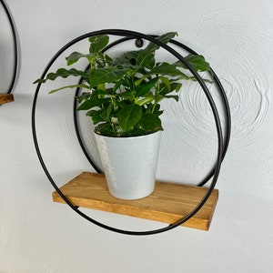 Wall hanging shelf black, Hanging shelves, Plant shelves, Flower shelf, Wall shelf, Round shelves, Wall shelves, Round shelf, Circle shelf, zdjęcie 1