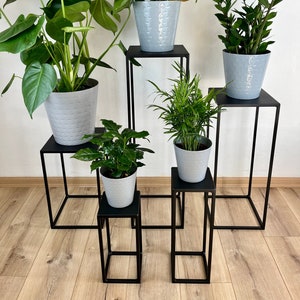 Op de afbeelding: Vijf zwarte metalen plantenstandaards in verschillende hoogtes, elk met een vierkante basis en een vierkante bovenkant. De standaards zijn in een verspringend patroon gerangschikt, met de hoogste standaard aan de achterkant en de laagste standaard aan de voorkant. Elke standaard is voorzien van een grijze keramische pot, en elke pot bevat een ander type kamerplant.
