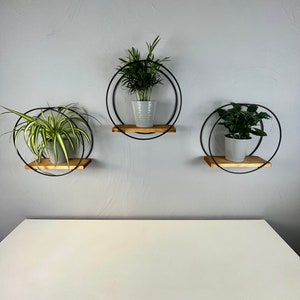 Wall hanging shelf black, Hanging shelves, Plant shelves, Flower shelf, Wall shelf, Round shelves, Wall shelves, Round shelf, Circle shelf, zdjęcie 3