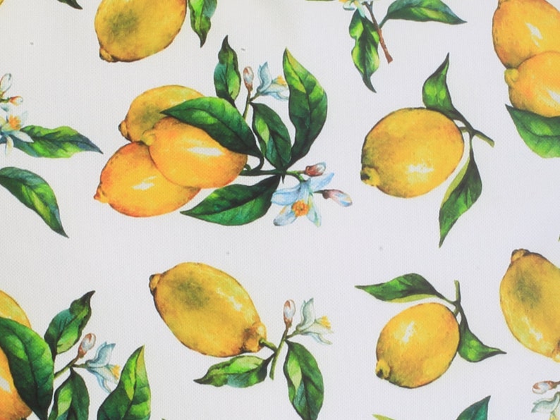 Lemon Outdoor Cushion Lemon Pillow Cover Yellow Pillow Case Etsy