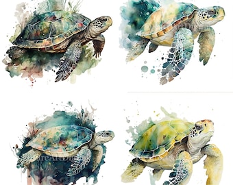Sublimation de tortue de mer aquarelle PNG, clipart numérique tortue de mer, art mural imprimable tortue de mer