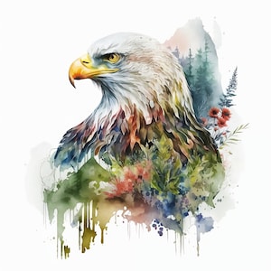 Watercolor Bald Eagle PNG, Eagle Head Digital Clipart for Sublimation, Bald Eagle Head Wall Decor Digital Art