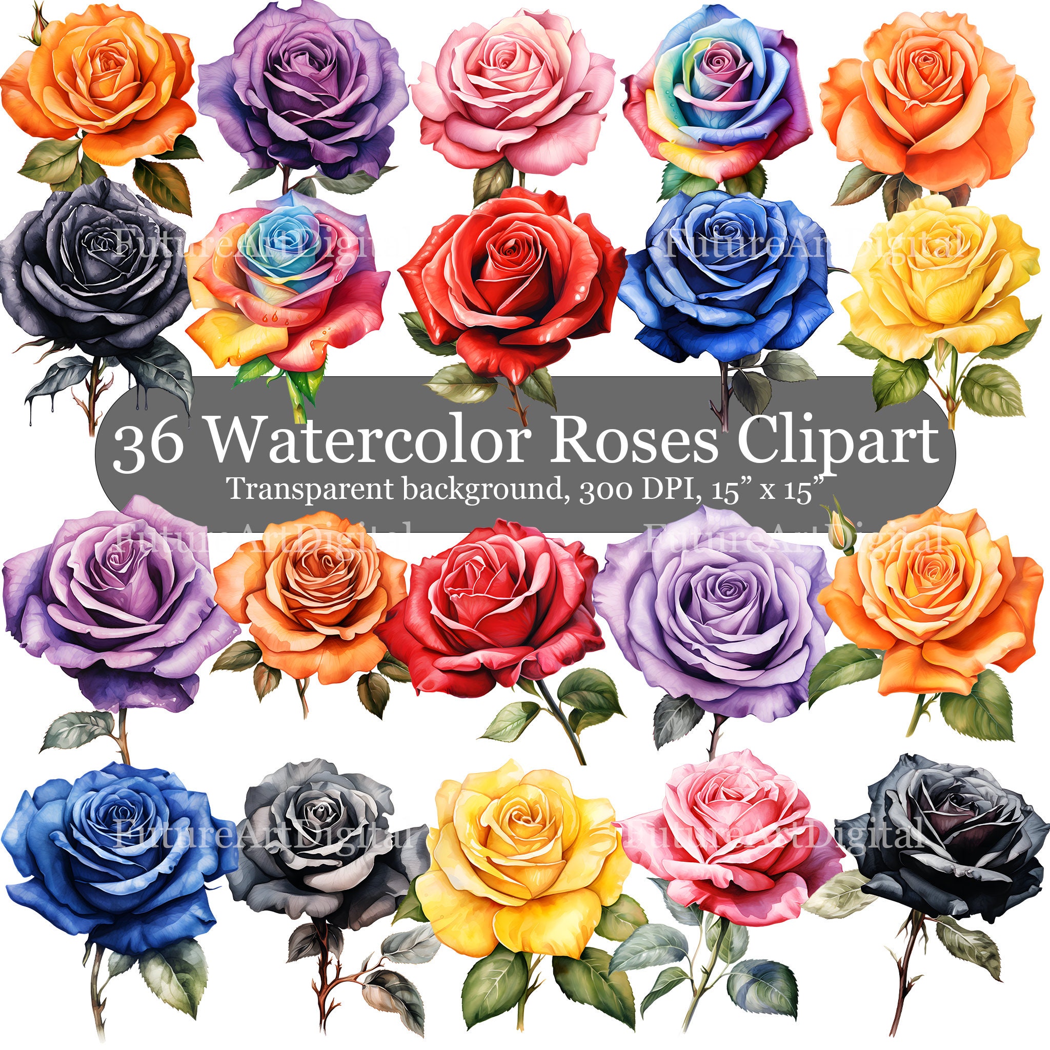 Digital Roses Image Watercolor Roses Digital Clipart Bundle, 36 Multicolor Roses ...