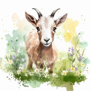 Watercolor Goat Digital Clipart, Goat Sublimation PNG, Goat Printable Nursery Wall art, Digital Download