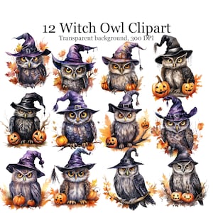 12 Watercolor Witch Owl Sublimation PNG, Halloween Owl Digital Clipart, Owl with Halloween Pumpkin Printable Wall art