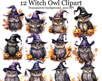 12 Watercolor Witch Owl Sublimation PNG, Halloween Owl Digital Clipart, Owl with Halloween Pumpkin Printable Wall art
