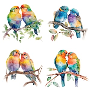 Aquarell Vogel Paar Sublimation PNG, Liebe Vögel digitale Clipart, Vogel Paar druckbare Kinderzimmer Zimmer Dekor