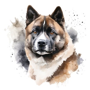 Acquerello marrone scuro Akita americano digitale Clipart, marrone Akita sublimazione PNG, arte della parete stampabile Akita americano