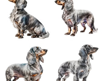 Watercolor Dachshund Sublimation Clipart, Dachshund PNG, Silver Dachshund Printable Wall art, Digital Download