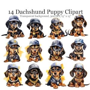 14 Aquarell Dackel Welpen digitale Clipart, Rapper Welpe druckbare Wandkunst, Dackel mit Chainz Sublimation PNG