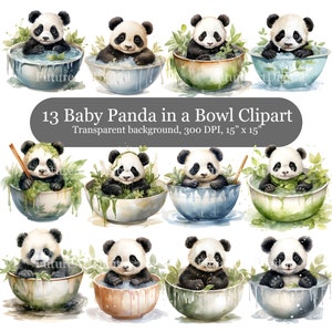 Aquarel Panda Baby digitale clipart bundel, 13 baby Panda in een kom sublimatie PNG, Panda baby scrapbooking clipart