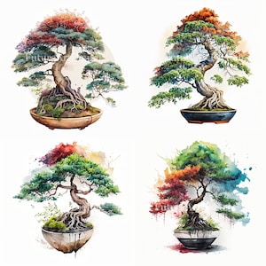 May include: Four watercolor paintings of bonsai trees in different stages of growth. Each tree is in a ceramic pot and has a unique shape and color. The trees are set against a white background.