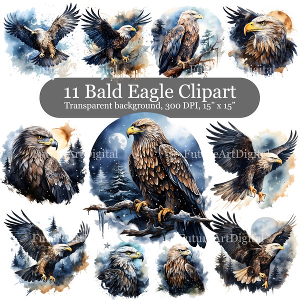 Watercolor Bald Eagle Digital Clipart Bundle, 11 Celestial Eagle Sublimation PNG, Bald Eagle Junk Journal clipart