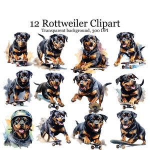 Set of 12 Watercolor Skater Rottweiler Digital Clipart, Funny Dog Sublimation PNG, Rottweiler Printable Wall art