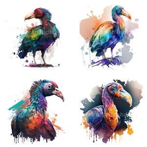 Aquarell Dodo Vogel Sublimation PNG, Dodo digitaler Download Wandkunst, Dodo Vogel druckbare Wand-Dekor