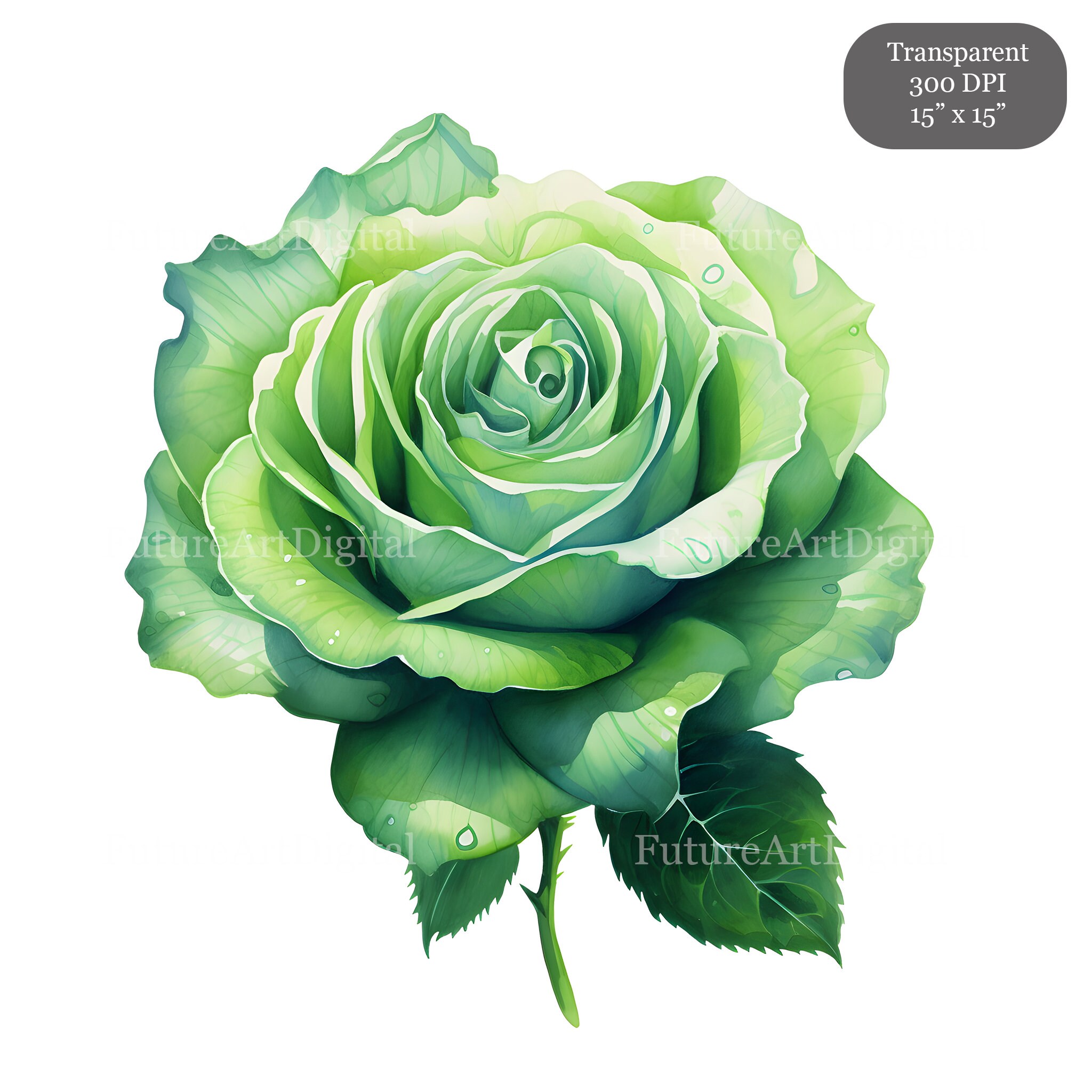 Watercolor Roses Digital Clipart Bundle, 36 Multicolor Roses ...