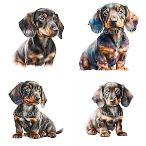 Aquarell Dackel Welpe digitale Clipart, Dackel Welpe druckbare Wandkunst, Dackel Welpe Sublimation PNG