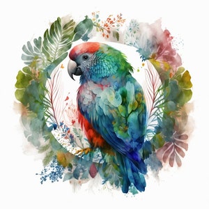Watercolor Parrot Digital Clipart, Jungle Parrot PNG, Parrot Sublimation Wall Art, Digital Download Printable Wall Decor