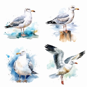 Watercolor Seagull Sublimation PNG, Seagull Digital Clipart, Seagull Printable Wall art, Digital Download