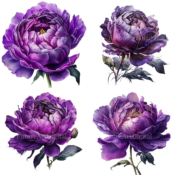 Watercolor Purple Peony Digital Clipart, Purple Peony Sublimation PNG, Purple Peony Printable Wall art