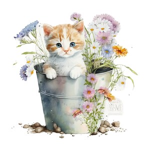 Watercolor Kitten in a Bucket PNG, Kitten in a Bucket Digital Clipart, Kitten Nursery Room Sublimation art