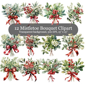 12 Clipart digital de buquê de visco aquarela, buquê de visco de Natal sublimação PNG, buquê de visco de bérberis arte para impressão
