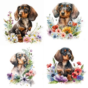 Aquarell Dackel Welpe mit Blumen PNG, Dackel Welpe Sublimation Design, Dackel Digital Clipart
