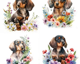 Watercolor Dachshund Puppy with Flowers PNG, Dachshund Puppy Sublimation design, Dachshund Digital Clipart
