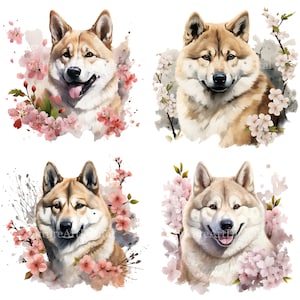 Watercolor Akita with Flowers Digital Clipart, Japanese Akita Sublimation Wall art, Akita Printable Wall decor