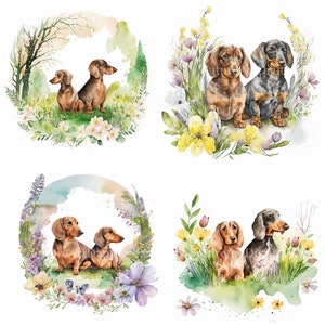 Aquarel teckel paar in een lente clipart, teckel paar sublimatie PNG, teckel paar afdrukbare kinderkamer kunst aan de muur