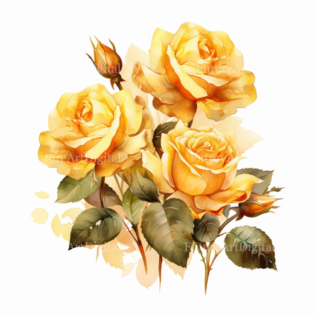 Yellow Roses Digital Watercolor Yellow Roses Sublimation PNG, Yellow Roses Digital Clipart ...