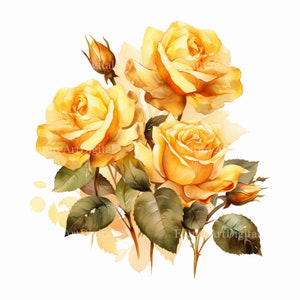 Watercolor Yellow Roses Sublimation PNG, Yellow Roses Digital Clipart, Yellow Roses Printable Wall art