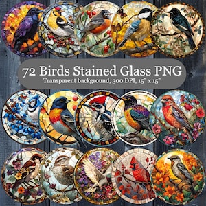 72 pássaros de vitral redondo PNG, pacote de clipart de vitral de alta resolução, clipart de sublimação de pássaros diferentes, uso comercial gratuito