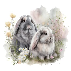 Watercolor Grey Angora Bunny Couple Sublimation Clipart, Angora Bunnies ...