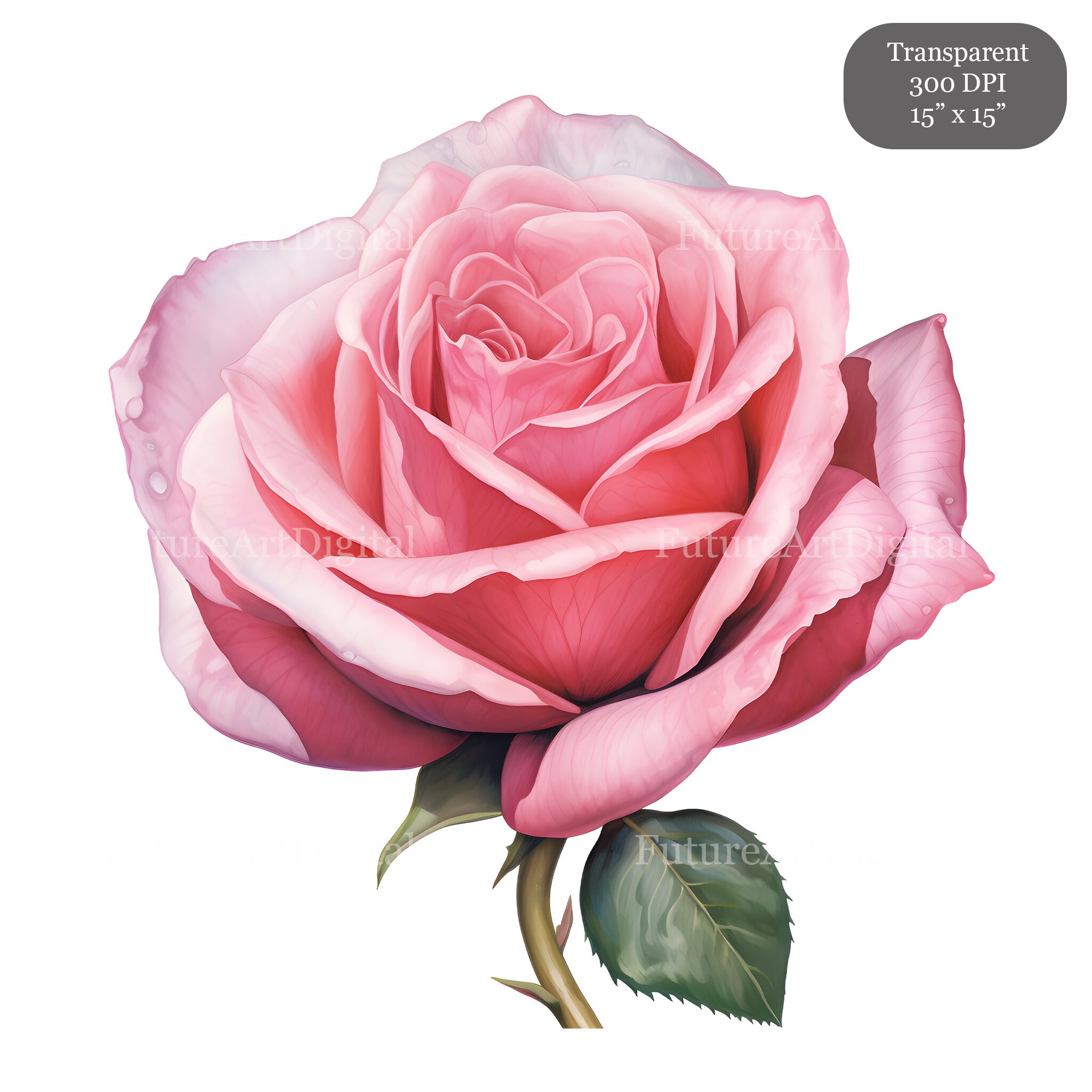 Watercolor Roses Digital Clipart Bundle, 36 Multicolor Roses ...