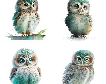 Watercolor Baby Teal Owl Sublimation PNG, Teal Owl Digital Clipart, Baby Teal Owl Printable Wall art, Owl Nursery Room decor