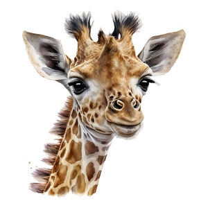 Watercolor Giraffe PNG, Giraffe Digital Clipart, Giraffe Sublimation Wall Decor, Giraffe Nursery Wall Art, Digital Download