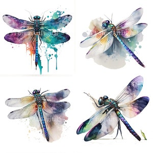 Watercolor Dragonfly Sublimation PNG, Dragonfly Digital Clipart, Dragonfly Printable Wall art, Digital Download