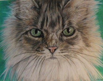 Ritratti personalizzati per animali domestici - Originale disegnato a mano