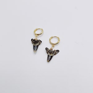 dainty shark tooth hoop earrings
