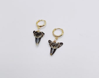 dainty shark tooth hoop earrings