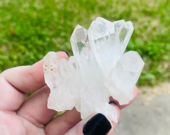 Clear Quartz cluster